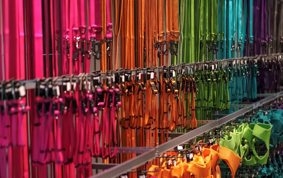 Vegg med hundeseler i regnbuens farger