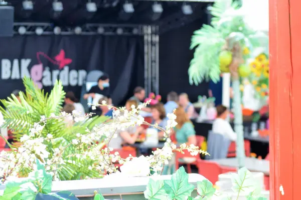 Bakgård med blomster 