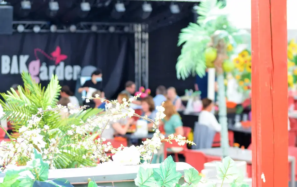 Bakgård med blomster 