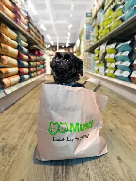 Musti butikk med hund