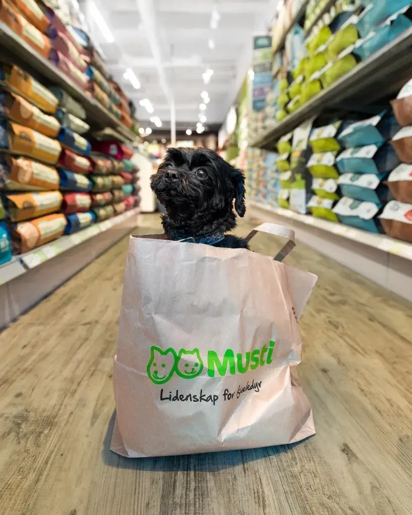 Musti butikk med hund