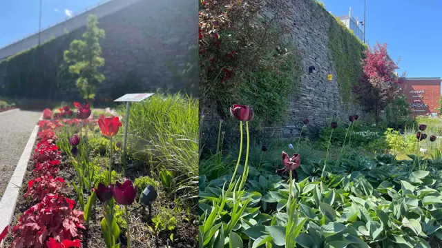 Ski Storsenter sin hage