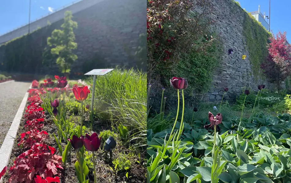 Ski Storsenter sin hage