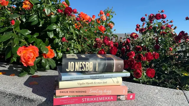 høstens trender hos moldetorget