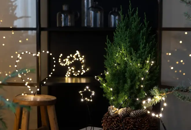 mester-gronn-led-stickers-uke47-48-3.2