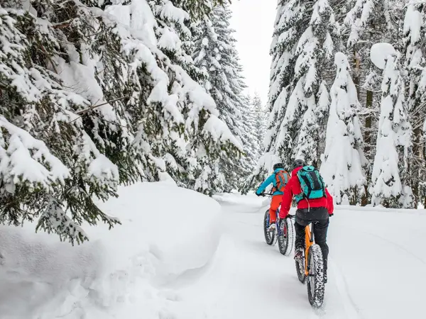 To personer på sykkel i snøen mellom høye trær