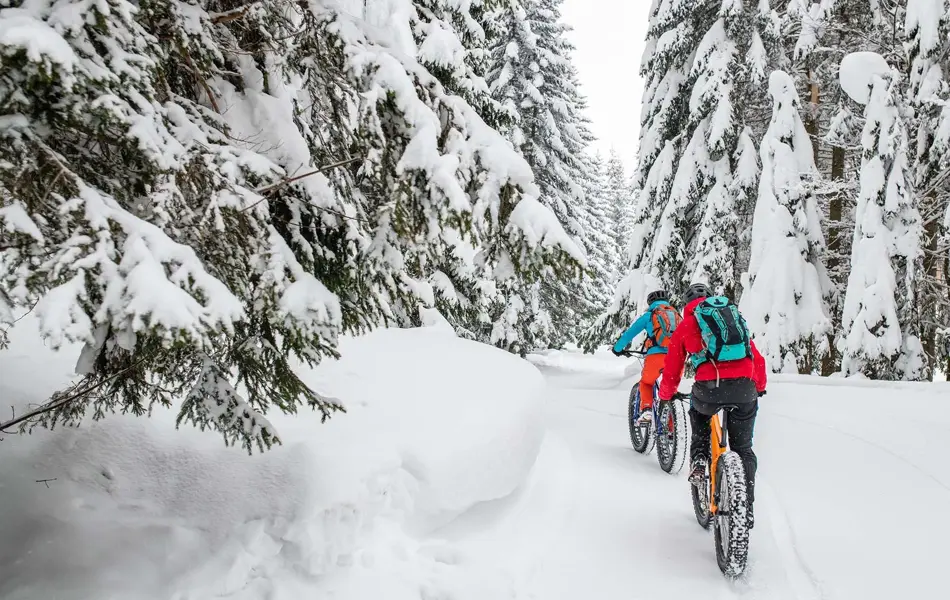 To personer på sykkel i snøen mellom høye trær