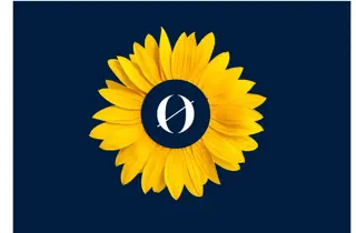 solsikke