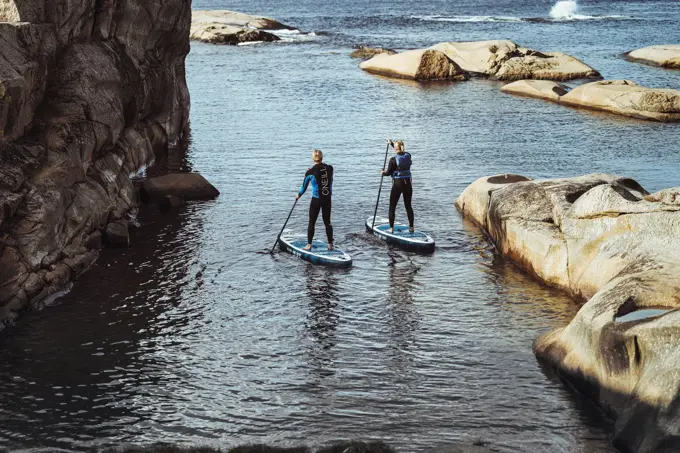 To personer på hvert sitt SUP-brett på vannet