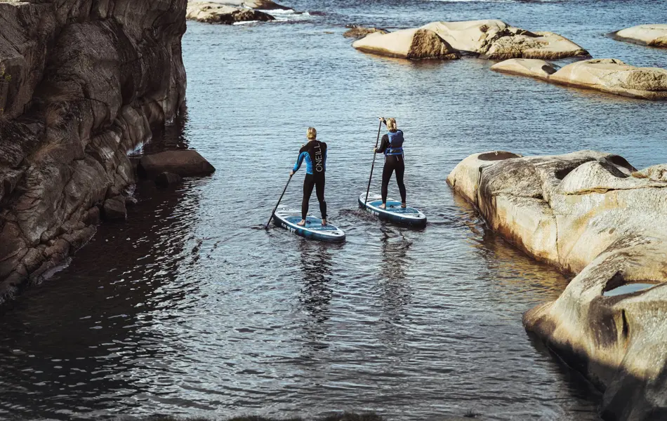 To personer på hvert sitt SUP-brett på vannet