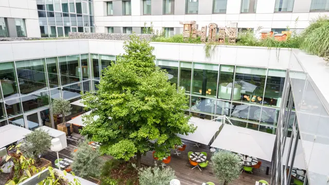 Thon_EU_terrace