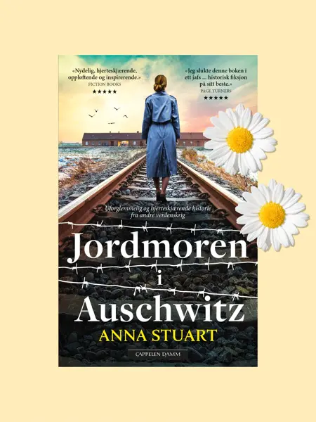 Bøker til sommerles