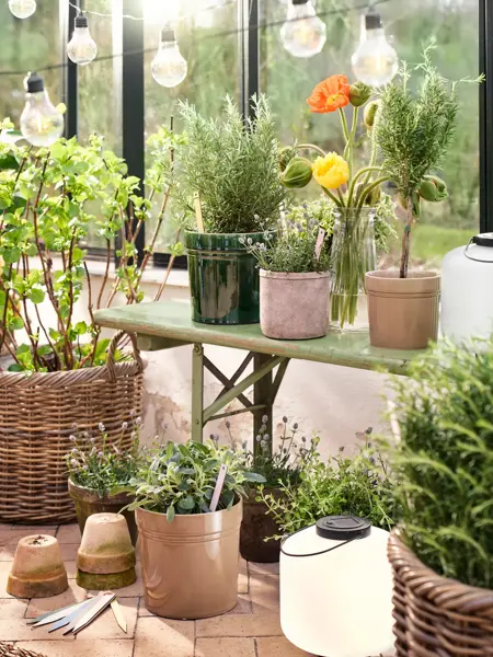 Søstrene Grene uteplass