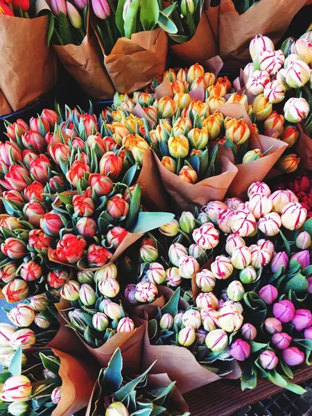 Blomsterbuketter i forskjellige farger