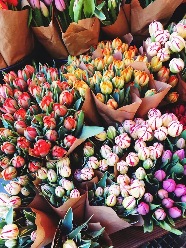 Blomsterbuketter i forskjellige farger