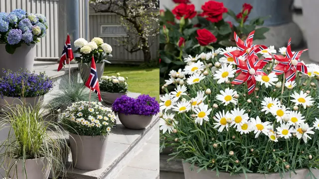 Mester Grønn 17. mai.jpg