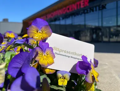 blågul pense med center bakom.JPG