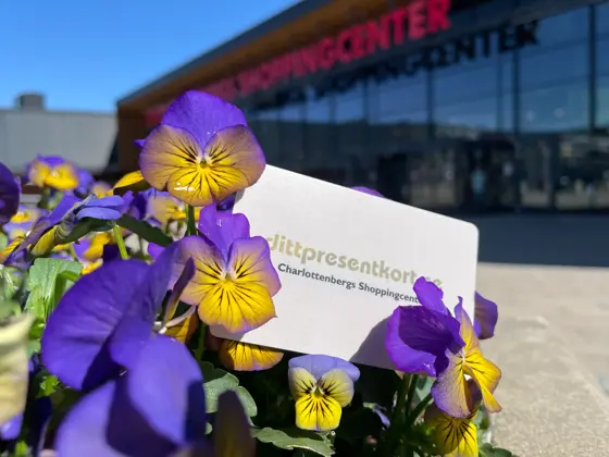 blågul pense med center bakom.JPG