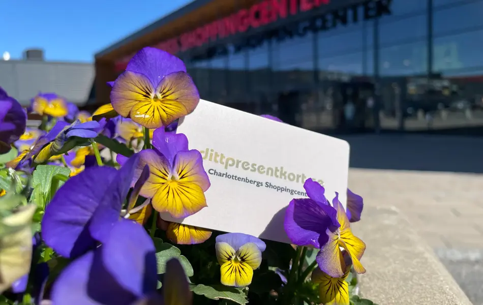 blågul pense med center bakom.JPG