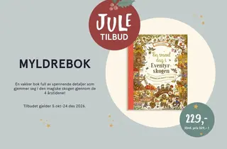 Eksempelbilde av tilbudet.