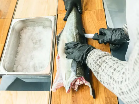 Familie filtrerer fisk på hotellet 