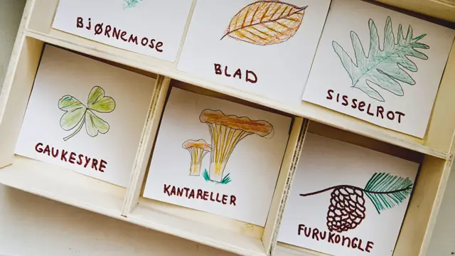 kasse med lapper med forskjellige plantearter