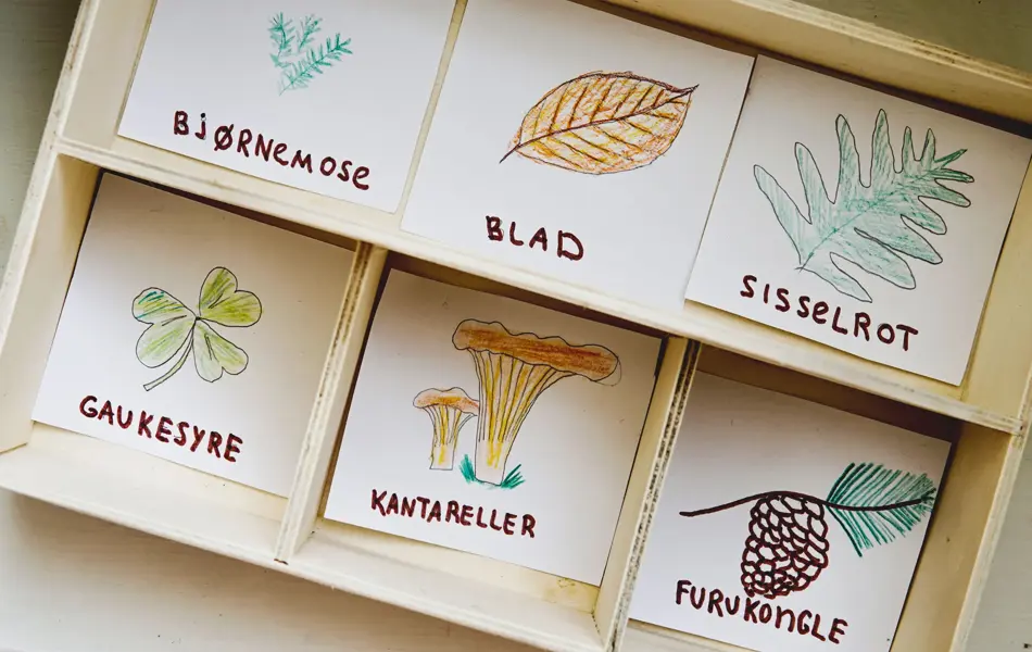kasse med lapper med forskjellige plantearter