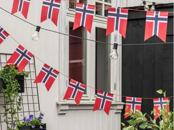 Flagg 17 mai nille