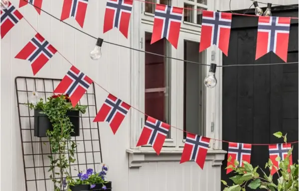Flagg 17 mai nille