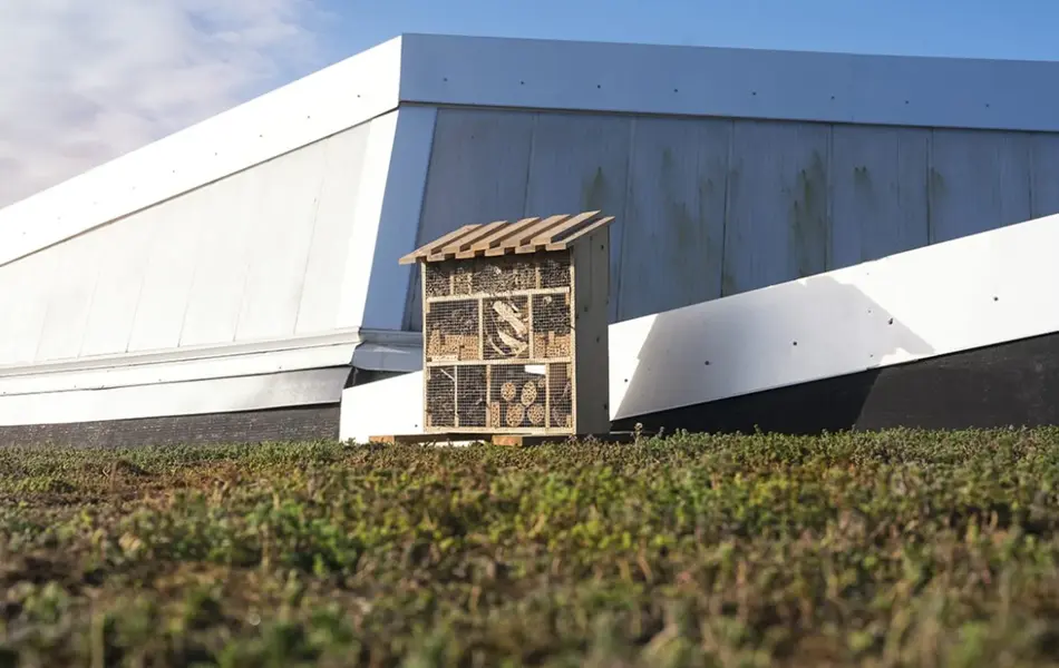 Ved som står utendørs