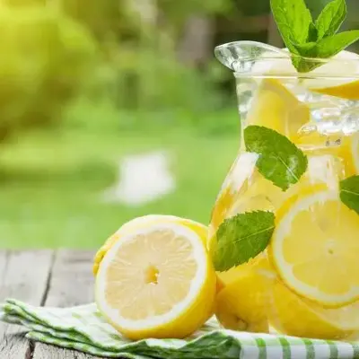 Biopat Bodil Vaagsether