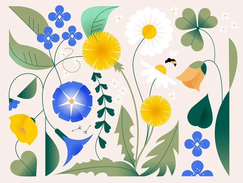 Kupongheader/aktivitet nettside