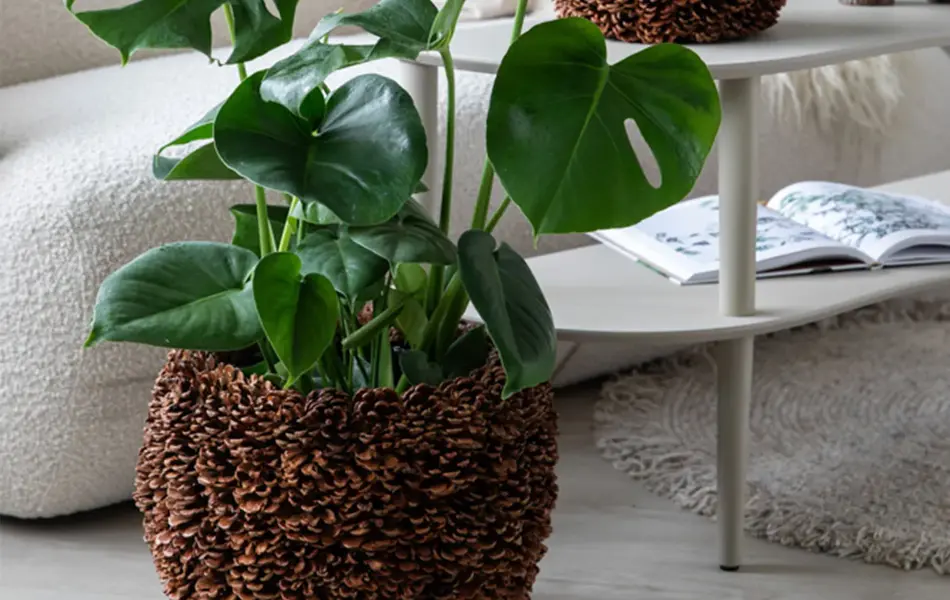 TS_Storo_artikkel_en-gronn-oase-i-hjemmet-ditt