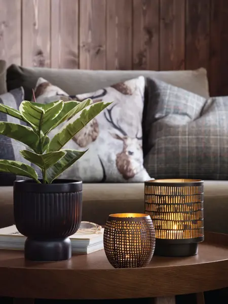 Sofa med bord dekket med grønn plante og lykter