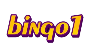 Bingo1