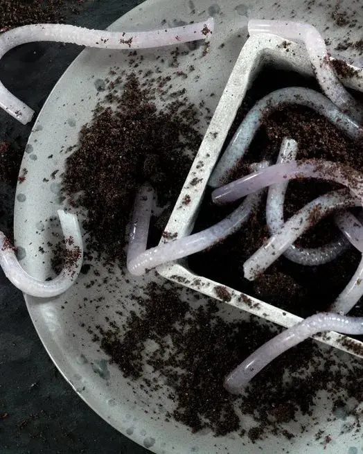 Gelemarker med spiselig jord, til halloween