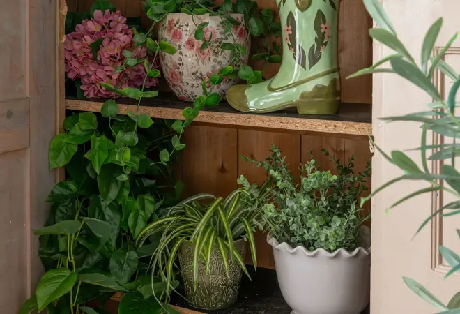 nille-planter-uke7-4.3