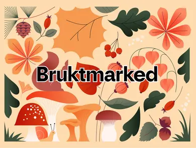 Bruktmarked bilde leietakerportal