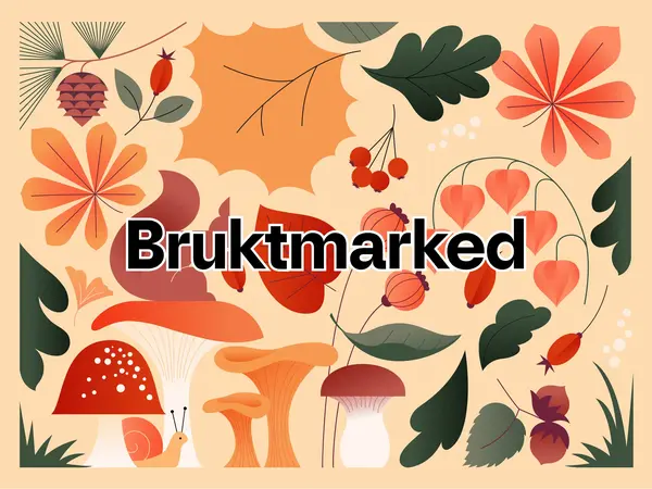 Bruktmarked bilde leietakerportal