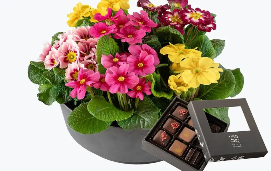 Blomsteroppsats med Prumula