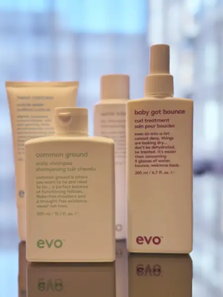 Sayso Evo guide-15-4x3_-2