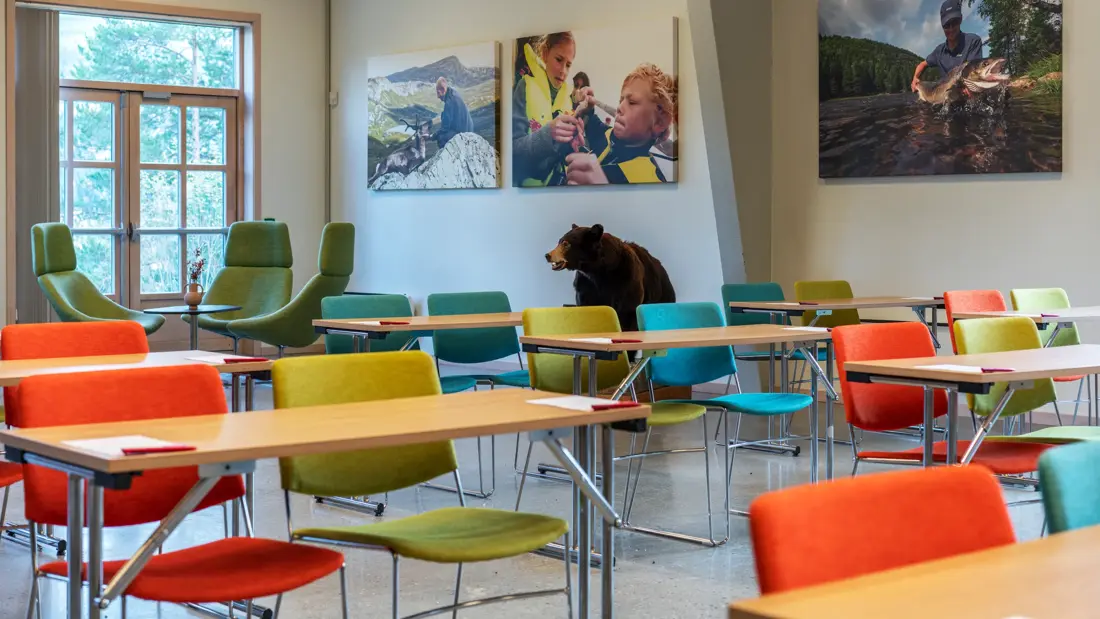 Møterom med klasseroms oppsett sett forfra, fargerike stoler, store bilder på veggene og en bjørnestatue på siden.