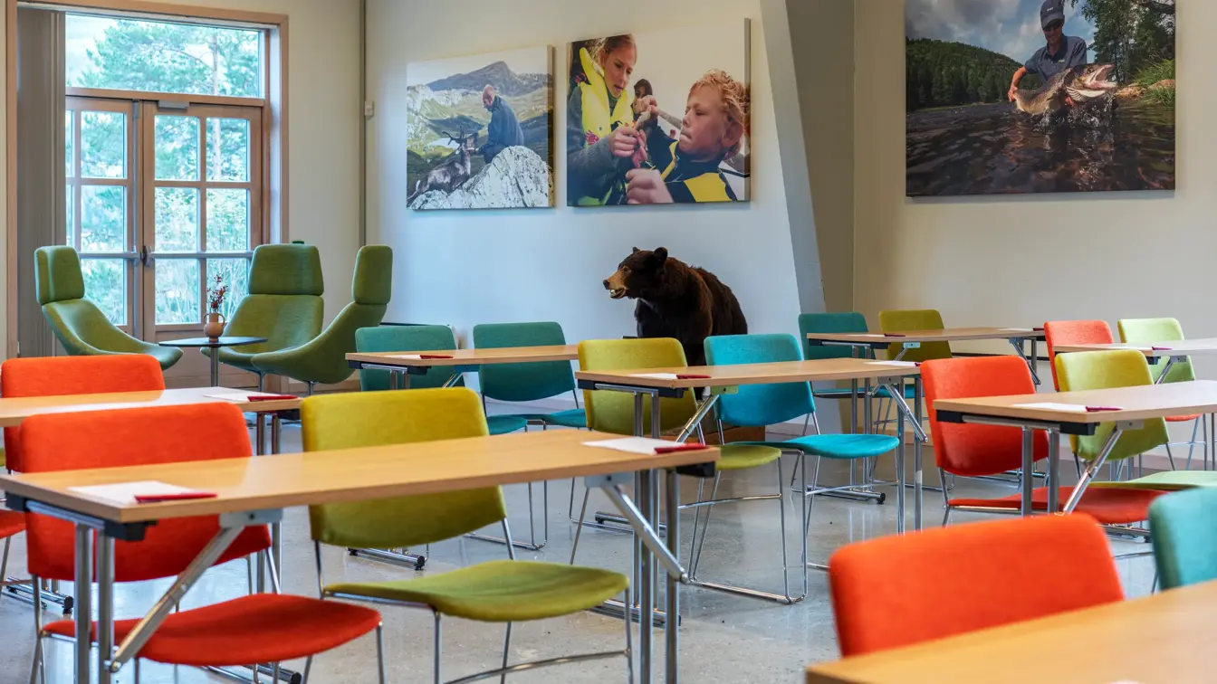Møterom med klasseroms oppsett sett forfra, fargerike stoler, store bilder på veggene og en bjørnestatue på siden.