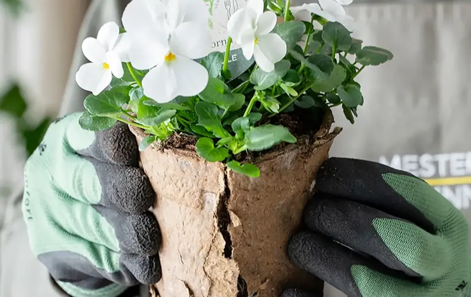 Ny uteplass på 1-2-3