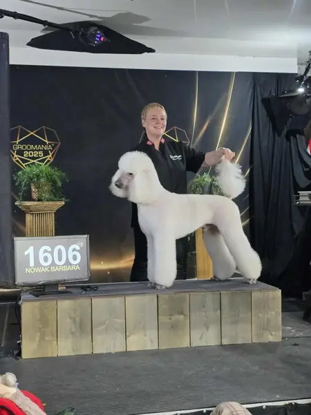 TS_Storo_Artikkel_Dyrenes_Jul