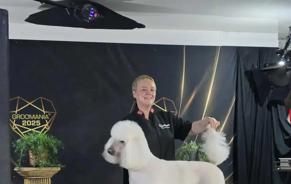 TS_Storo_Artikkel_Dyrenes_Jul