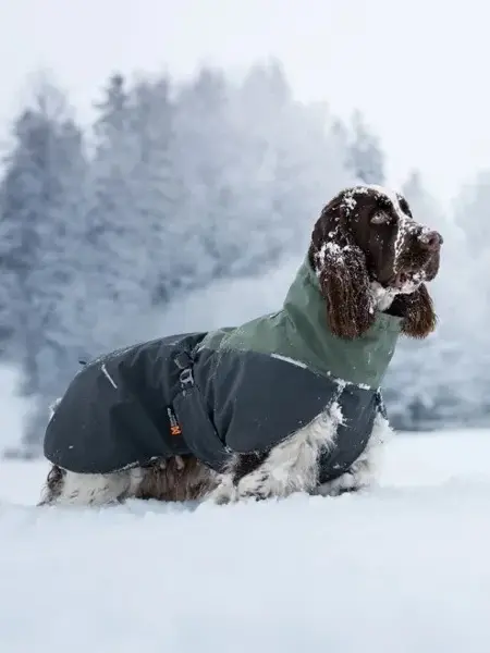 Kle deg godt i kulden