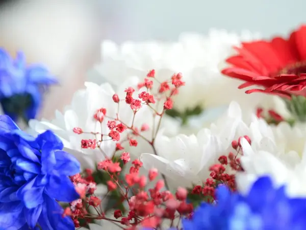 Nærbilde av røde, hvite og blå blomster. Foto til artikkel om dekorasjoner til 17. mai.