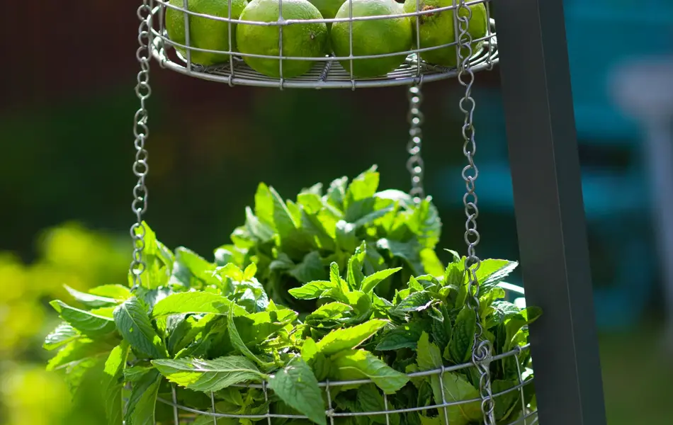 Johner Bildbyra AB
+46 8 644 83 30
info@johner.se
sales@johner.se