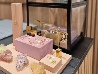 Utstilling av smykker og hår klyper